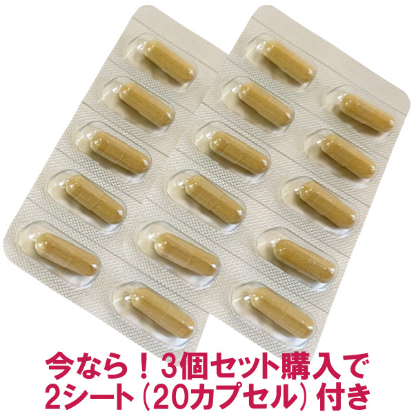 今なら、特別に2シート(20カプセル）をプレゼント